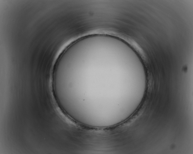 X0000102470896200808081007