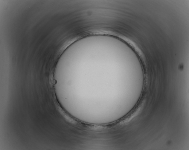X0000102470897200808081007