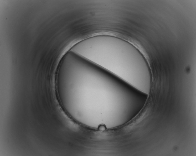X0000102470898200808081007