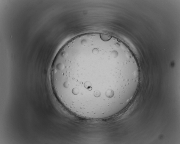 X0000102470899200808081006