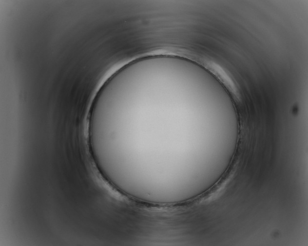 X0000102470900200808081006