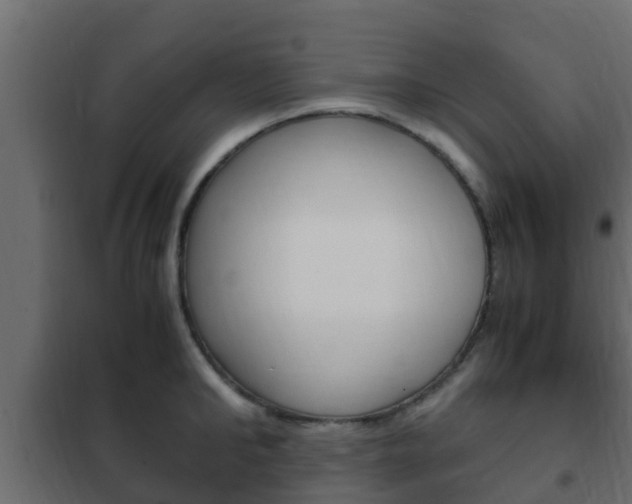 X0000102470902200808081006