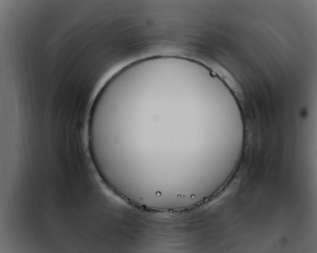 X0000102470904200808081006