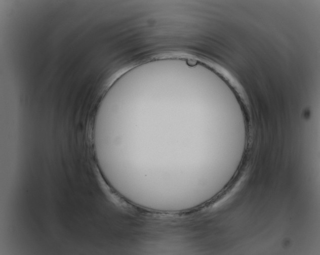 X0000102470905200808081006
