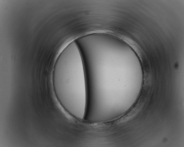 X0000102470906200808081006