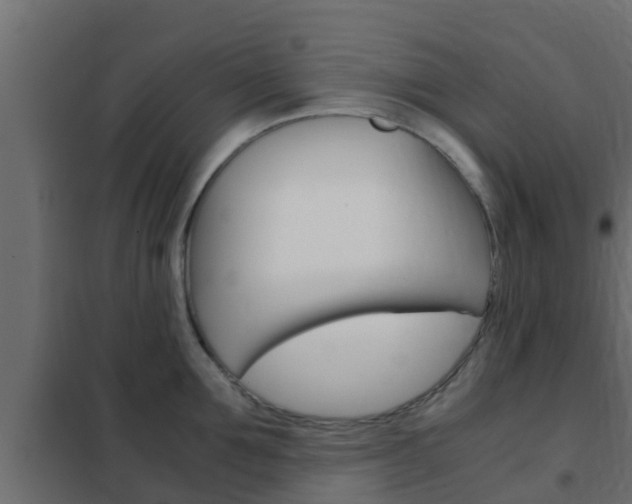 X0000102470907200808081006