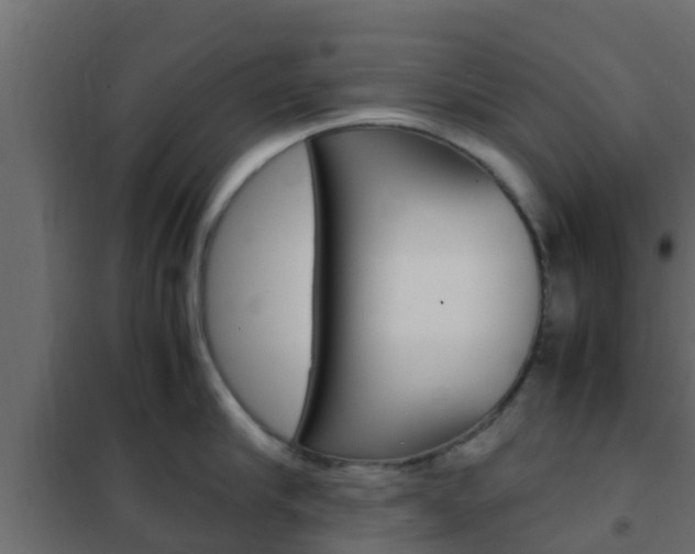 X0000102470910200808081006