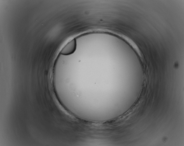 X0000102470911200808081006