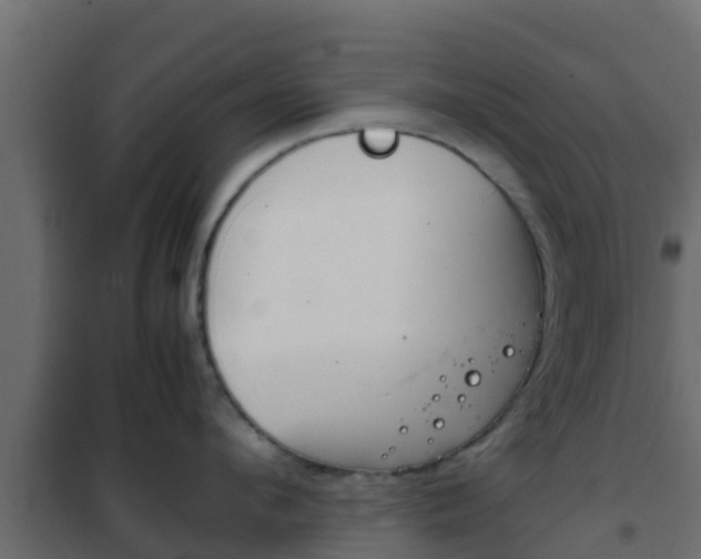 X0000102470912200808081006