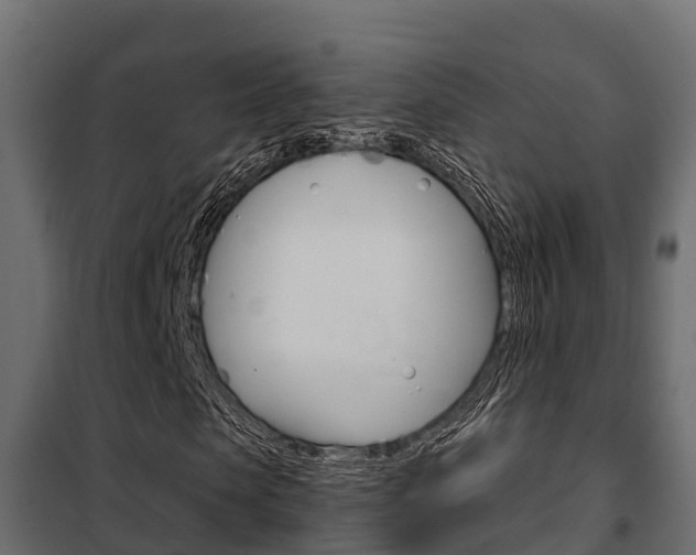 X0000102470913200808081006