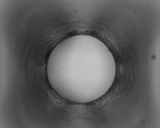 X0000102470914200808081006