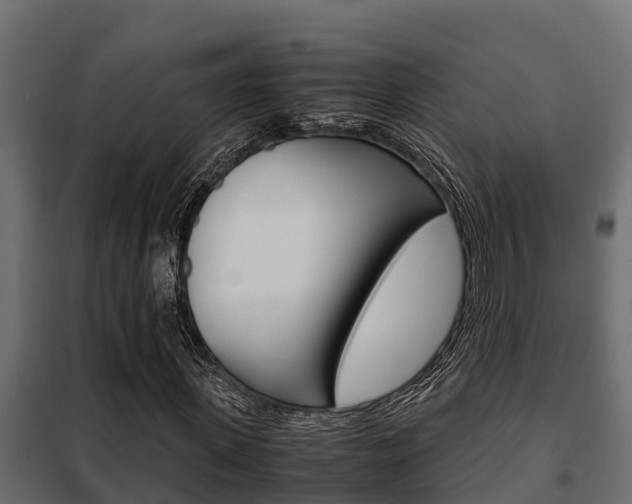 X0000102470915200808081006