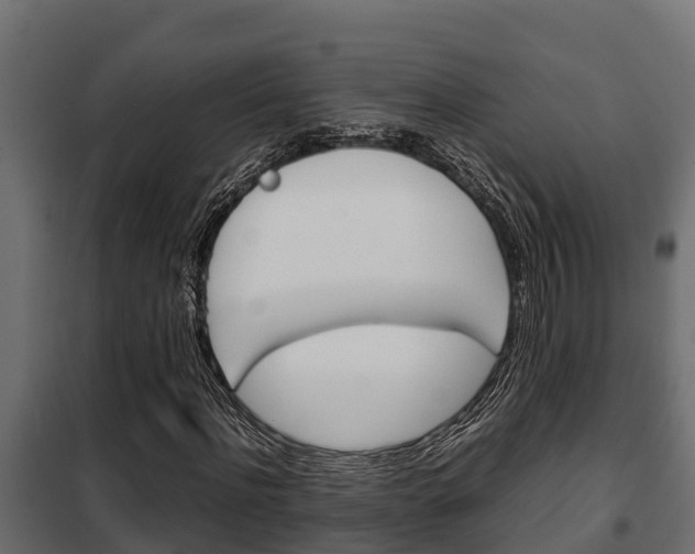 X0000102470916200808081006