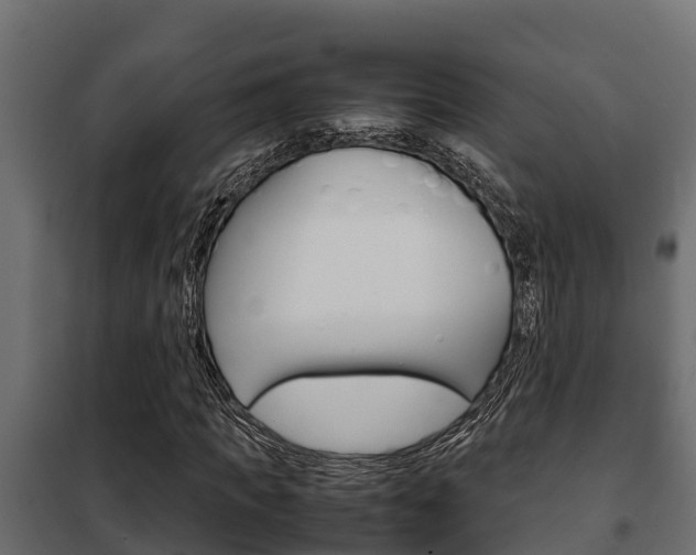X0000102470917200808081006