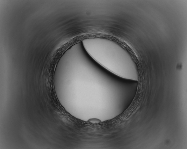 X0000102470919200808081006