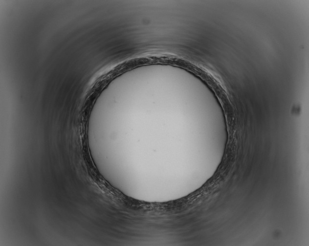 X0000102470920200808081006