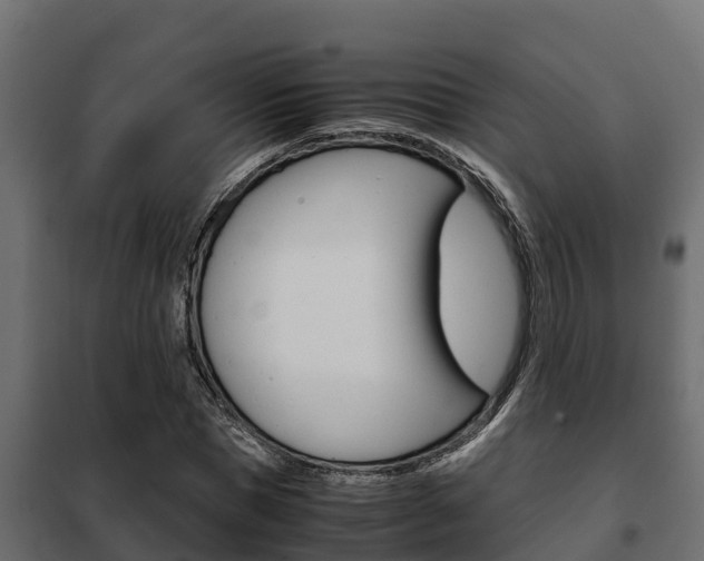 X0000102470921200808081006