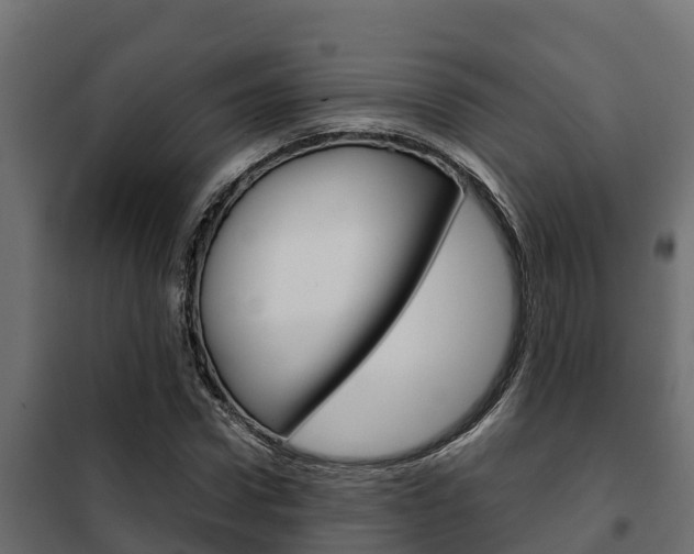 X0000102470922200808081006