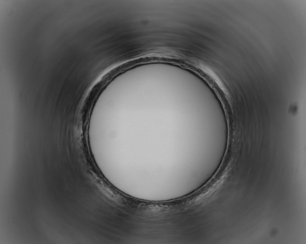 X0000102470923200808081006