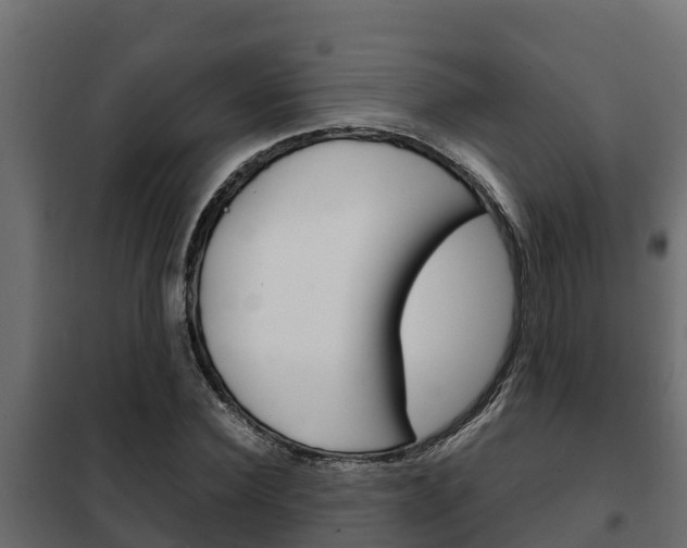 X0000102470924200808081006