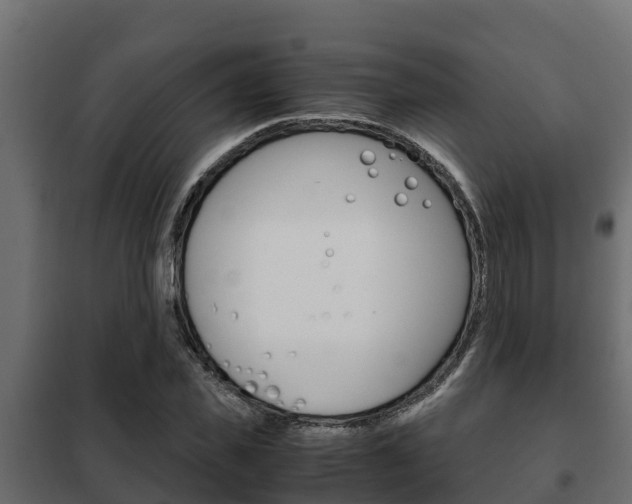 X0000102470925200808081006
