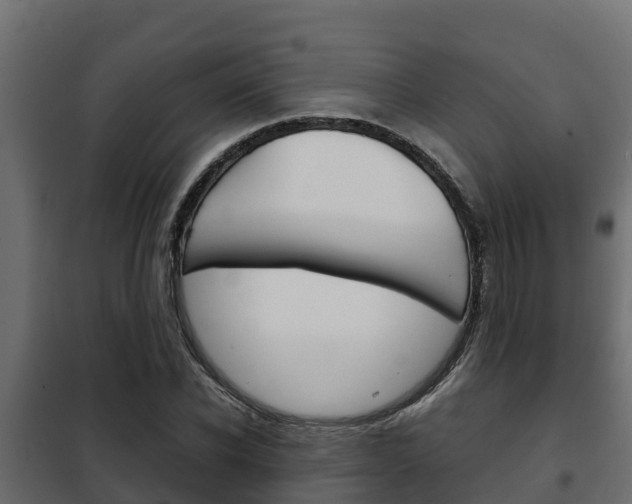 X0000102470926200808081006