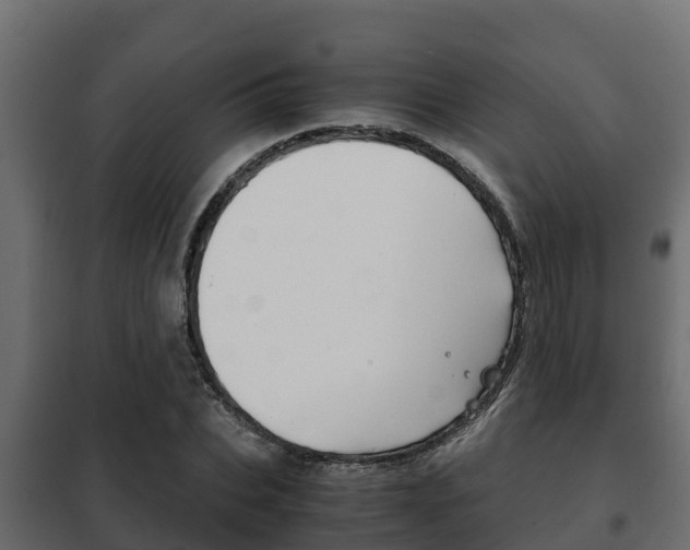 X0000102470927200808081006