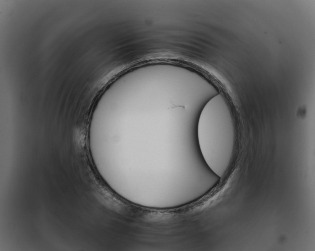 X0000102470929200808081006