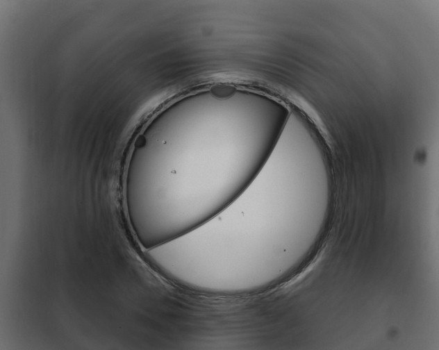 X0000102470930200808081006
