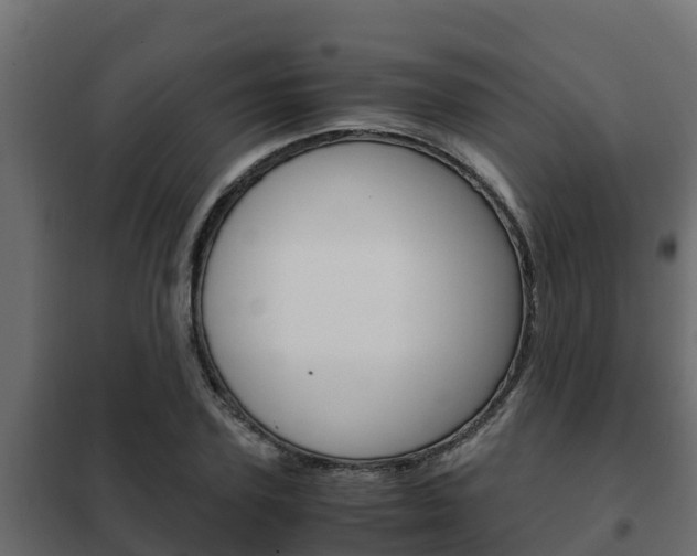 X0000102470931200808081006