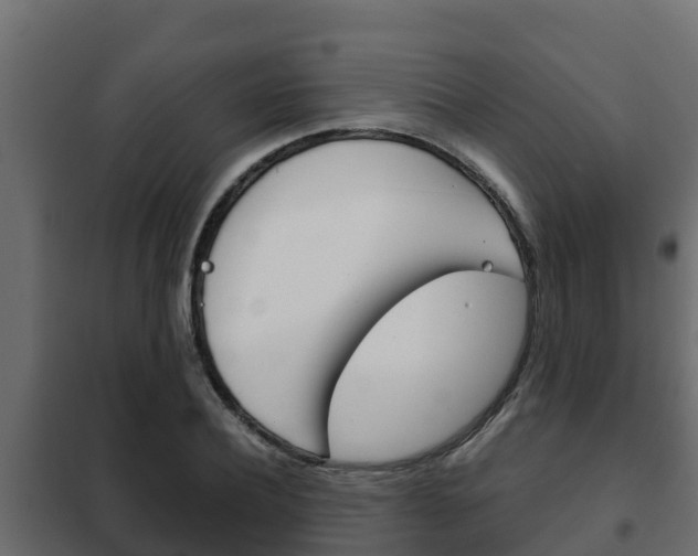 X0000102470932200808081006
