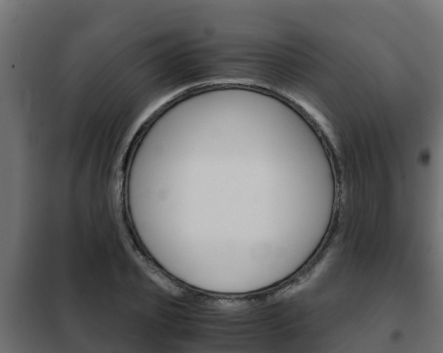 X0000102470933200808081006