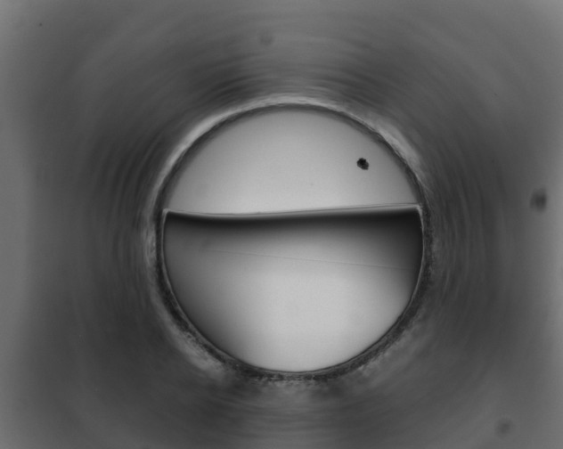 X0000102470934200808081006