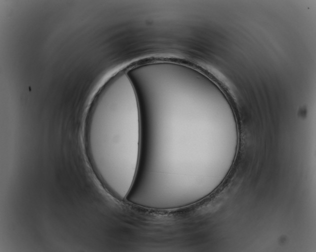 X0000102470935200808081006