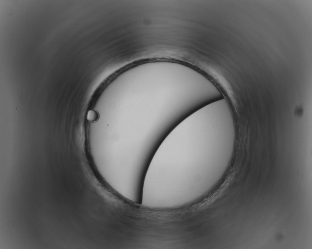 X0000102470936200808081006