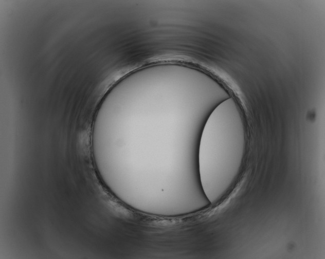 X0000102470937200808081006