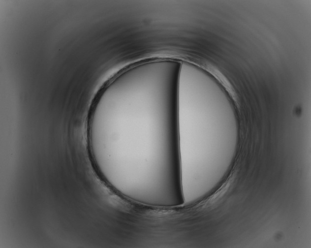 X0000102470939200808081006