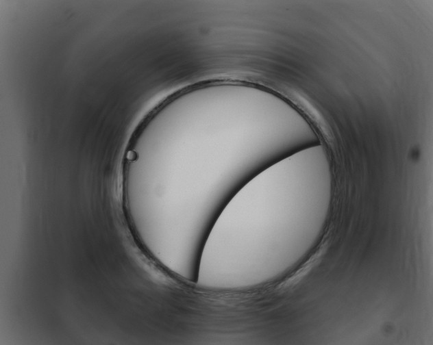 X0000102470940200808081006