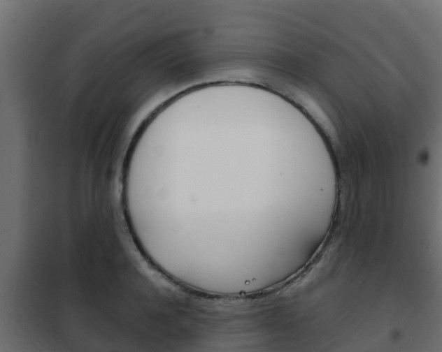 X0000102470944200808081006