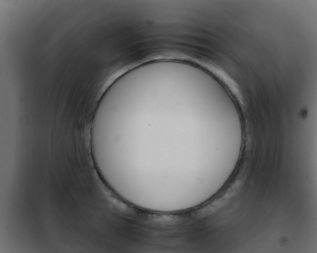 X0000102470945200808081006