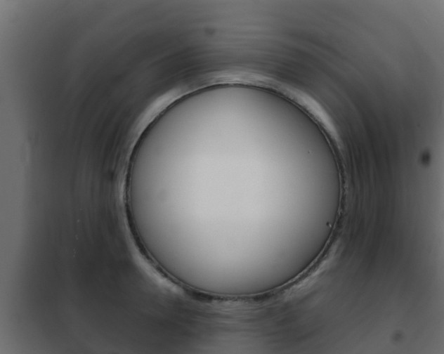 X0000102470946200808081006