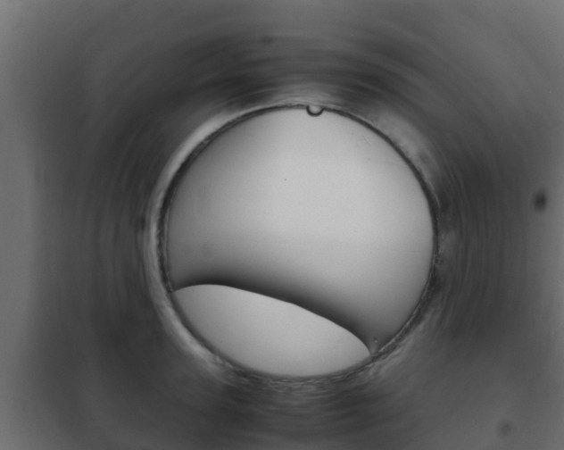 X0000102470947200808081006