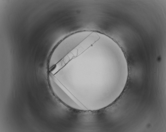 X0000102470950200808081006