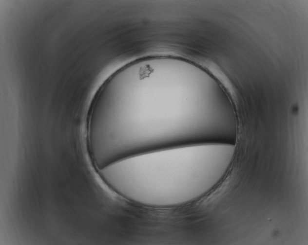 X0000102470951200808081006
