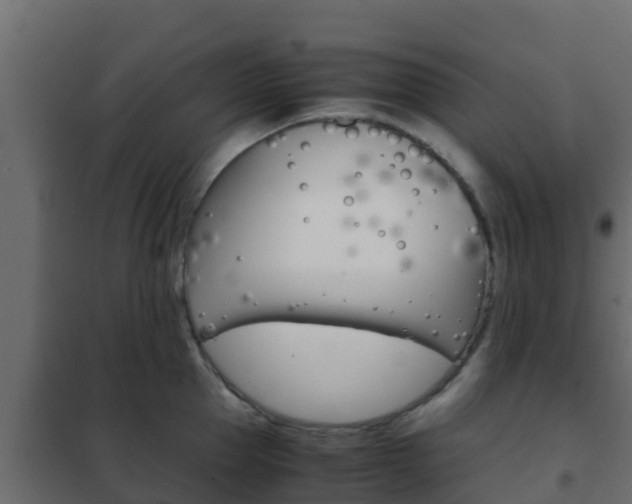 X0000102470953200808081006