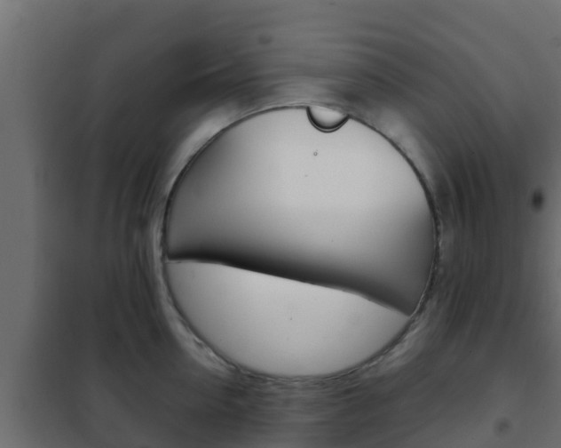 X0000102470954200808081006