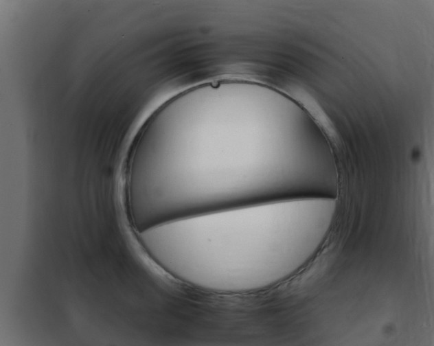 X0000102470955200808081006