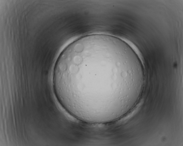 X0000102470957200808081006
