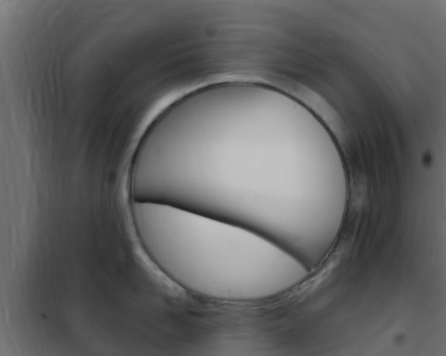X0000102470958200808081006