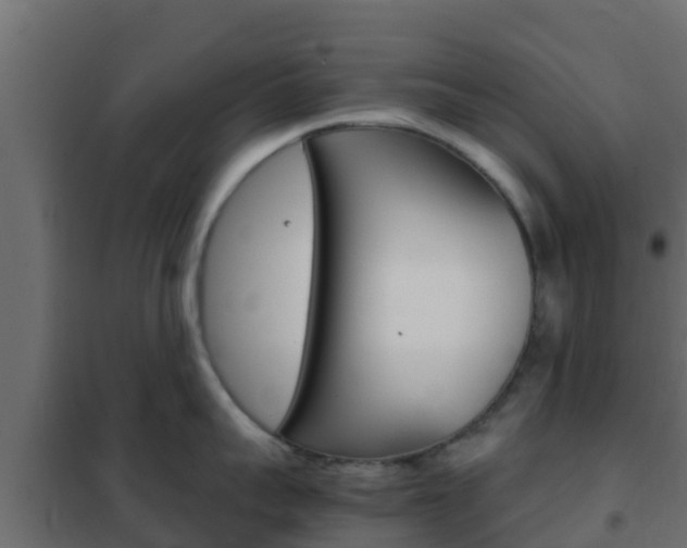 X0000102470959200808081006